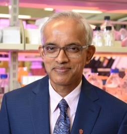 Prof. Nakshatri Harikrishna photo